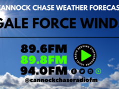 Warning for gale force gusts of wind from 06:00 to 18:00 Thursday 21st.