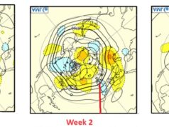 The outlook from the JMA for the next four weeks.