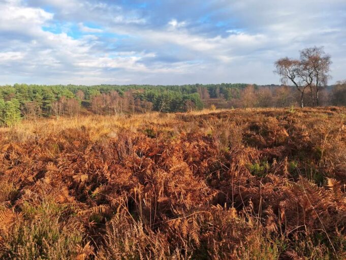 Weather forecast for Thursday 28th November. Cold and frosty start with ...